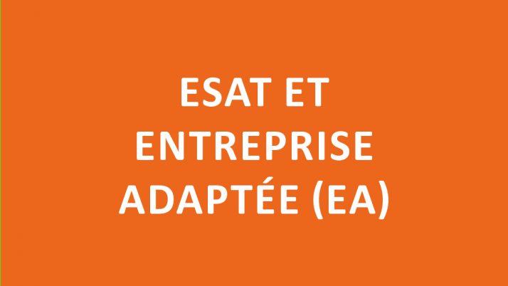 Entreprise Adaptée et ESAT