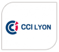 CCI Lyon logo article